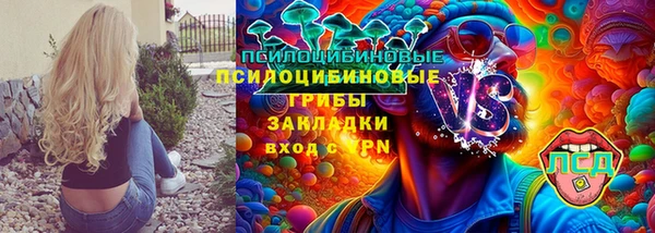 индика Алзамай