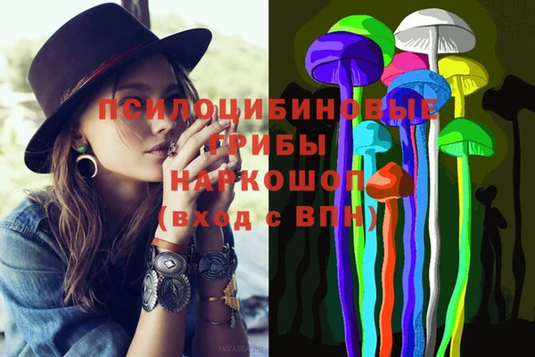 индика Алзамай