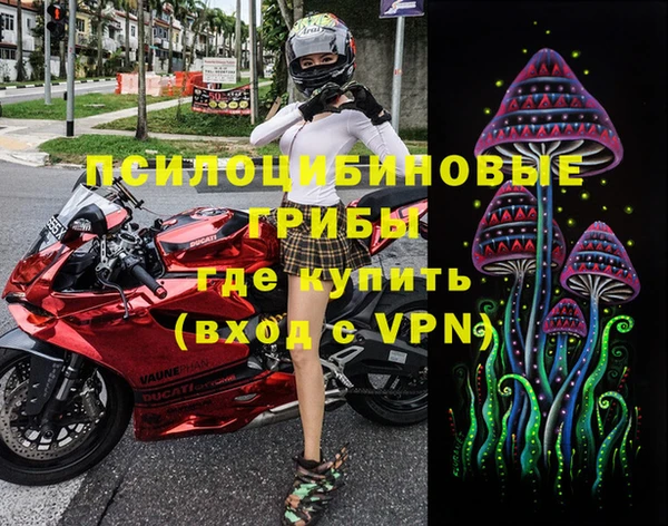 индика Алзамай