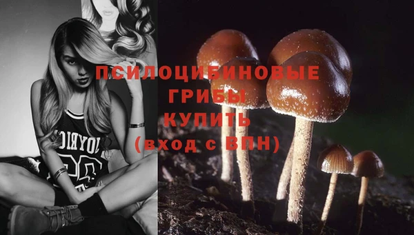 кристаллы Алексин