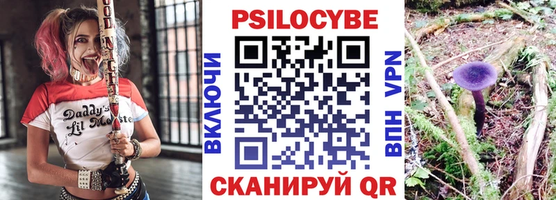 Псилоцибиновые грибы Cubensis  Купить где  Железногорск-Илимский 